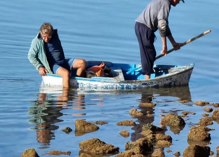 ميرامار أرّاثيفي