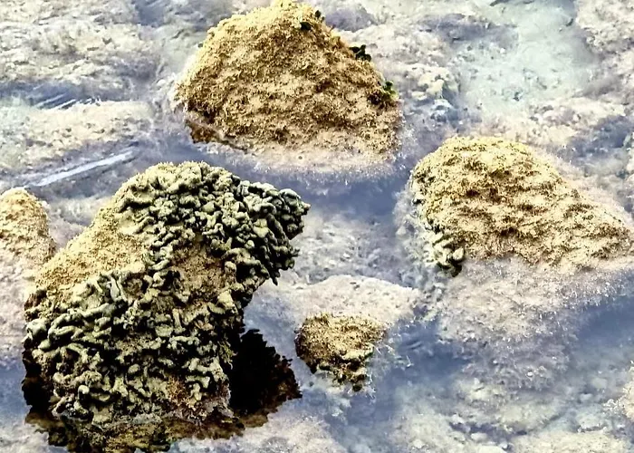 Miramar Arrecife (Lanzarote)