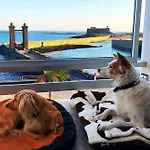 Hotel Miramar 3*